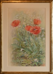  Maki ogrodowe 2, tech. sucha pastela, wym. w swietle ramy 62x42, rok 2016, obraz znajduje się w kolekcji prywatnej