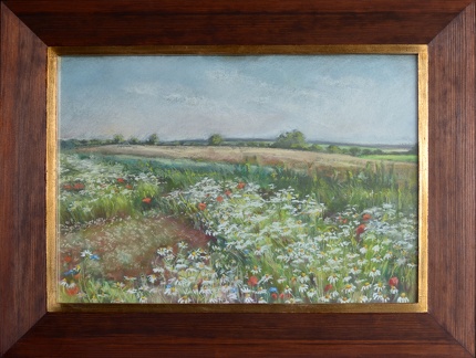  pole rumianków, tech. sucha pastela, wym.w świetle ramy 45x32, rok 2016 