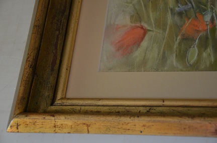 maki polne fragment